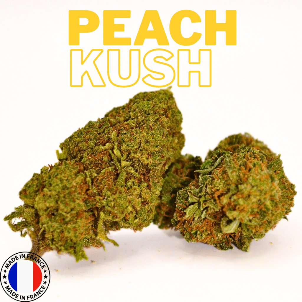 🍑 PEACH KUSH