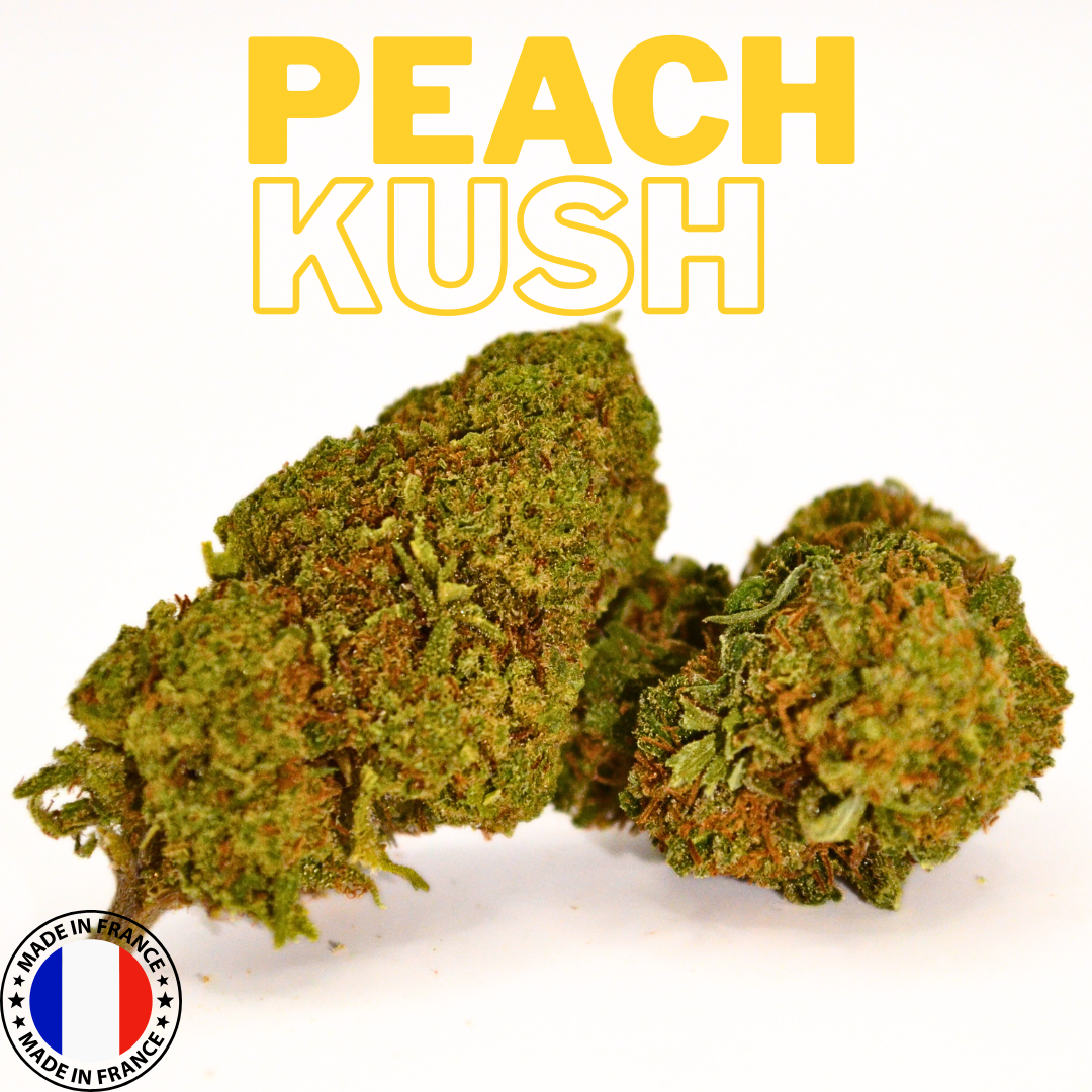 🍑 PEACH KUSH