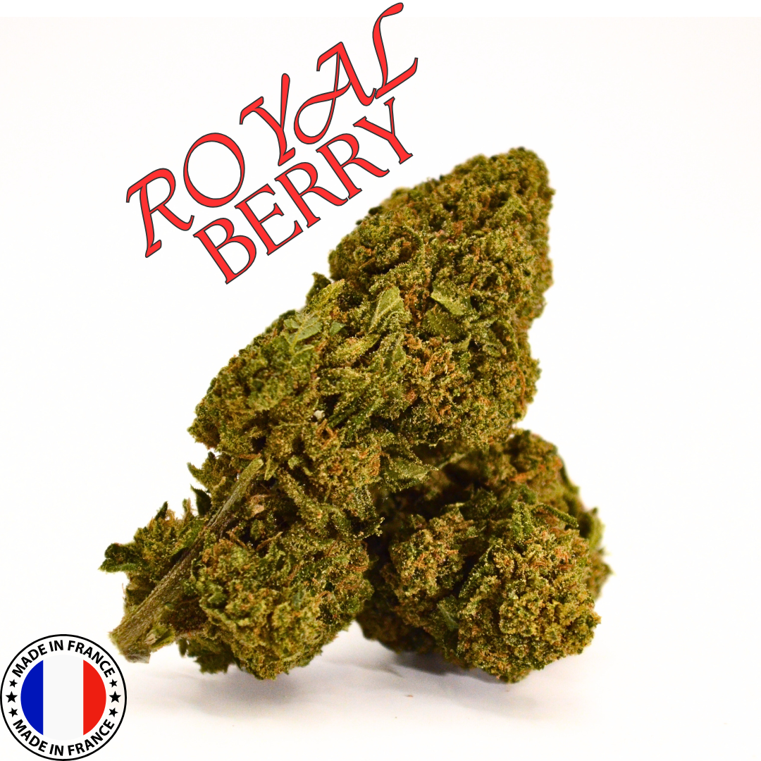 👑 ROYAL BERRY