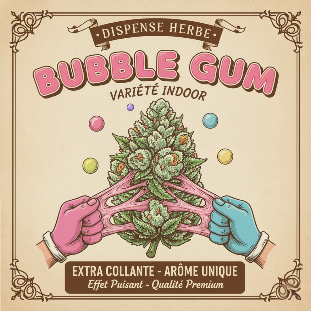 🍬 BUBBLE GUM
