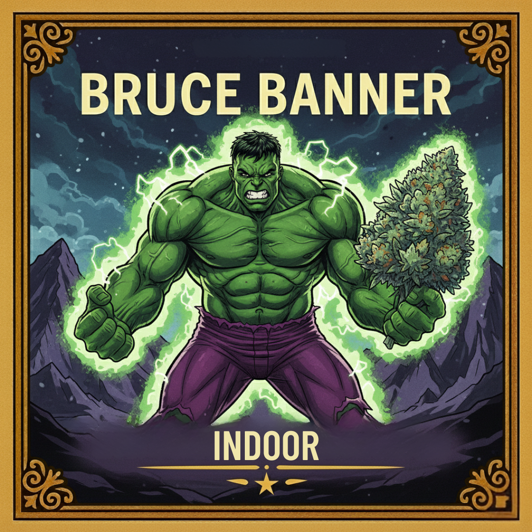 💚 BRUCE BANNER