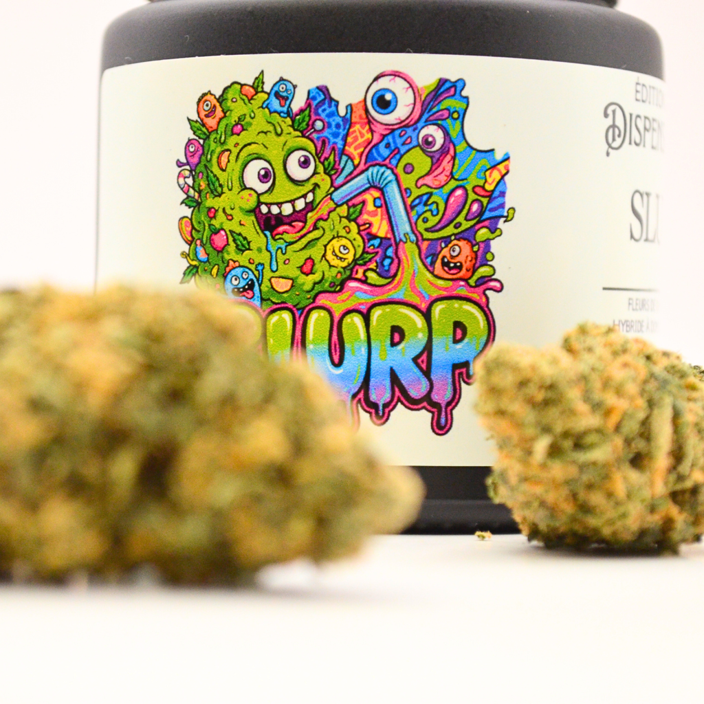 👀 SLURP.