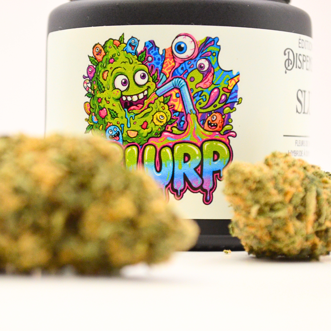 👀 SLURP.