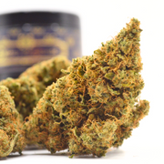 🌿 Pack LOCAL | Fleurs INDOOR Sarthoise DispenseHerbe 🌿