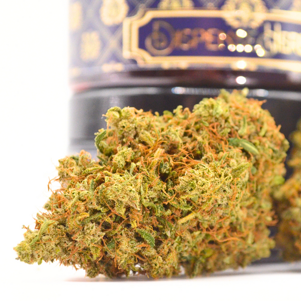 🌿 Pack LOCAL | Fleurs INDOOR Sarthoise DispenseHerbe 🌿