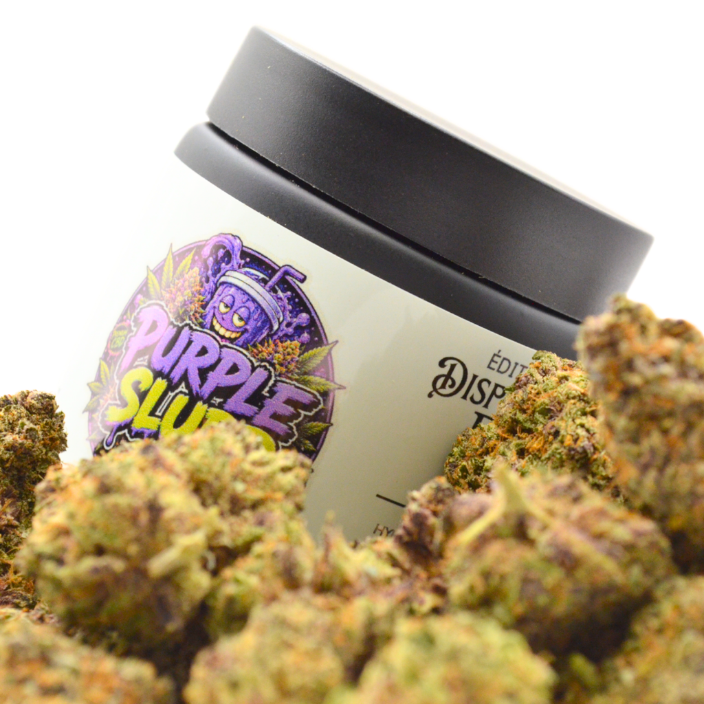 🟣 PURPLE SLURP