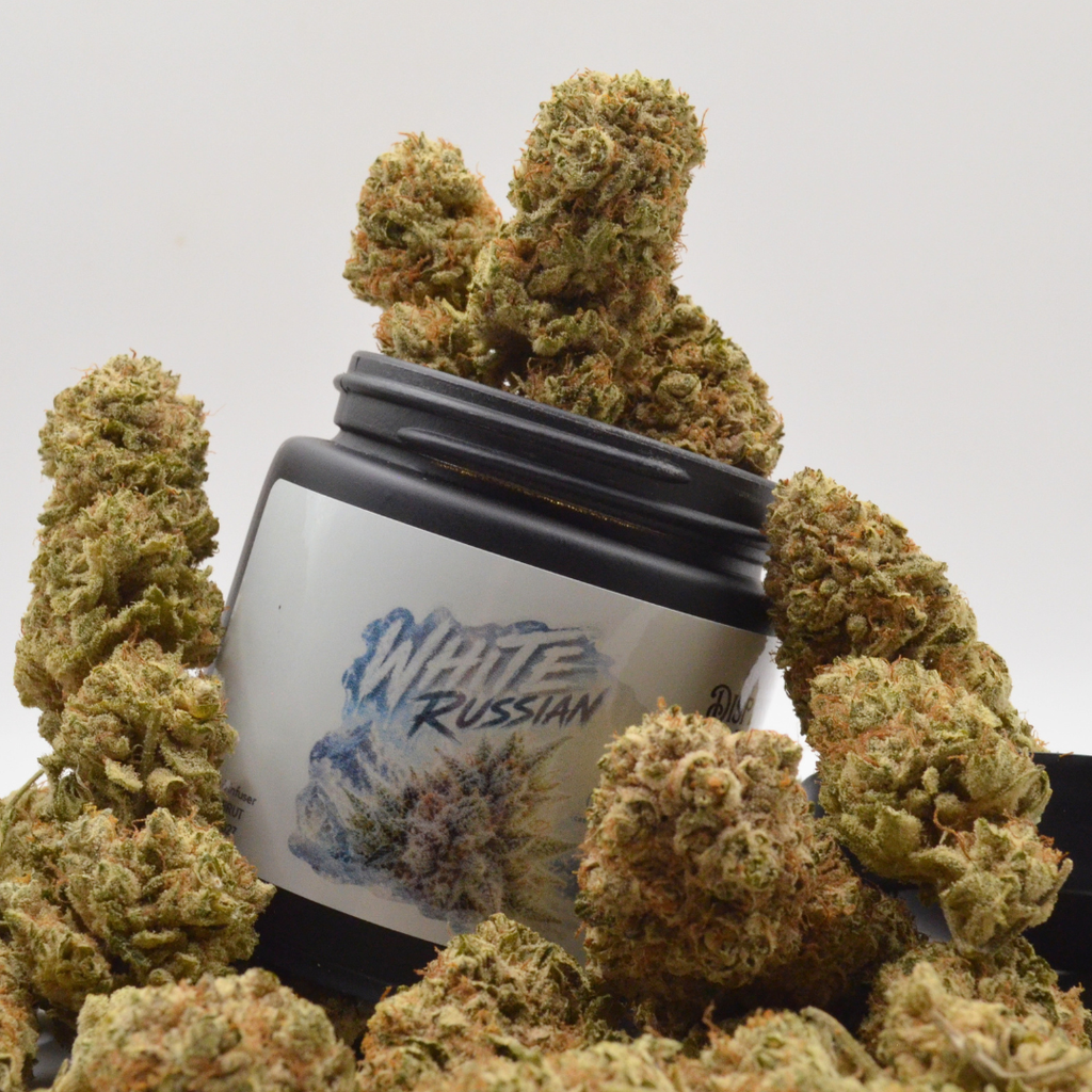 🌿 WHITE RUSSIAN