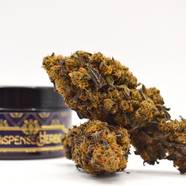 🌿 Pack LOCAL | Fleurs INDOOR Sarthoise DispenseHerbe 🌿