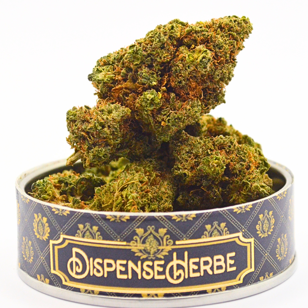 Fleur CBD | G13 | Sélection DispenseHerbe - DispenseHerbe 🍀