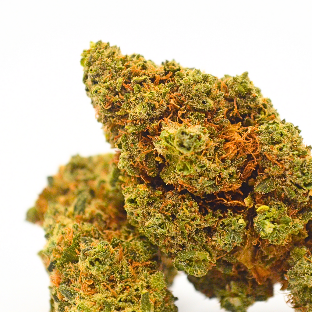 Fleur CBD | G13 | Sélection DispenseHerbe - DispenseHerbe 🍀