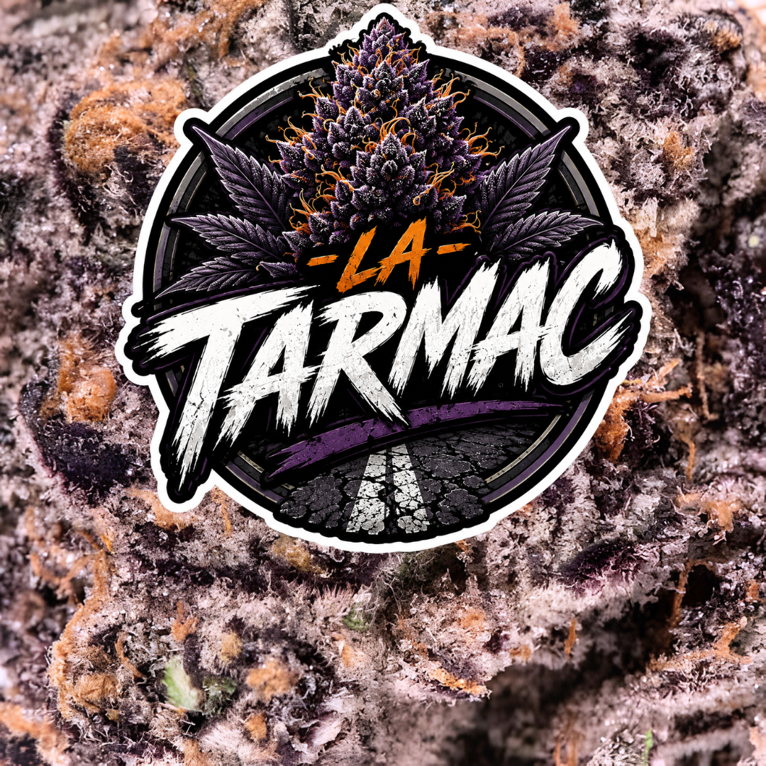 💜 TARMAC