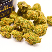 Pack CBD Pharma + Premium