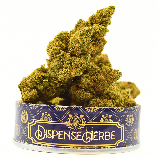 NEW - Fleur CBD <br> GREEN POISON <br> Sélection DispenseHerbe - DispenseHerbe 🍀