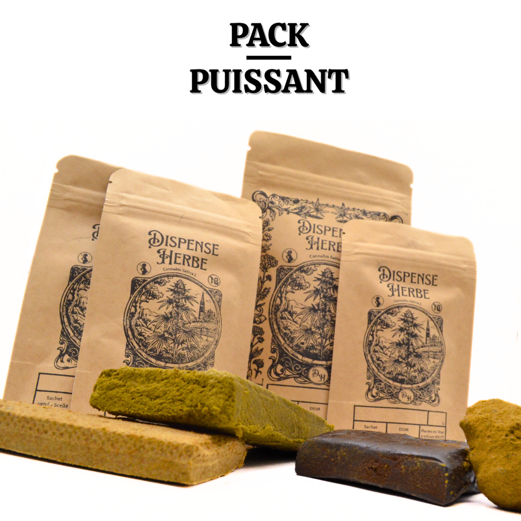🟤 PACK PUISSANT