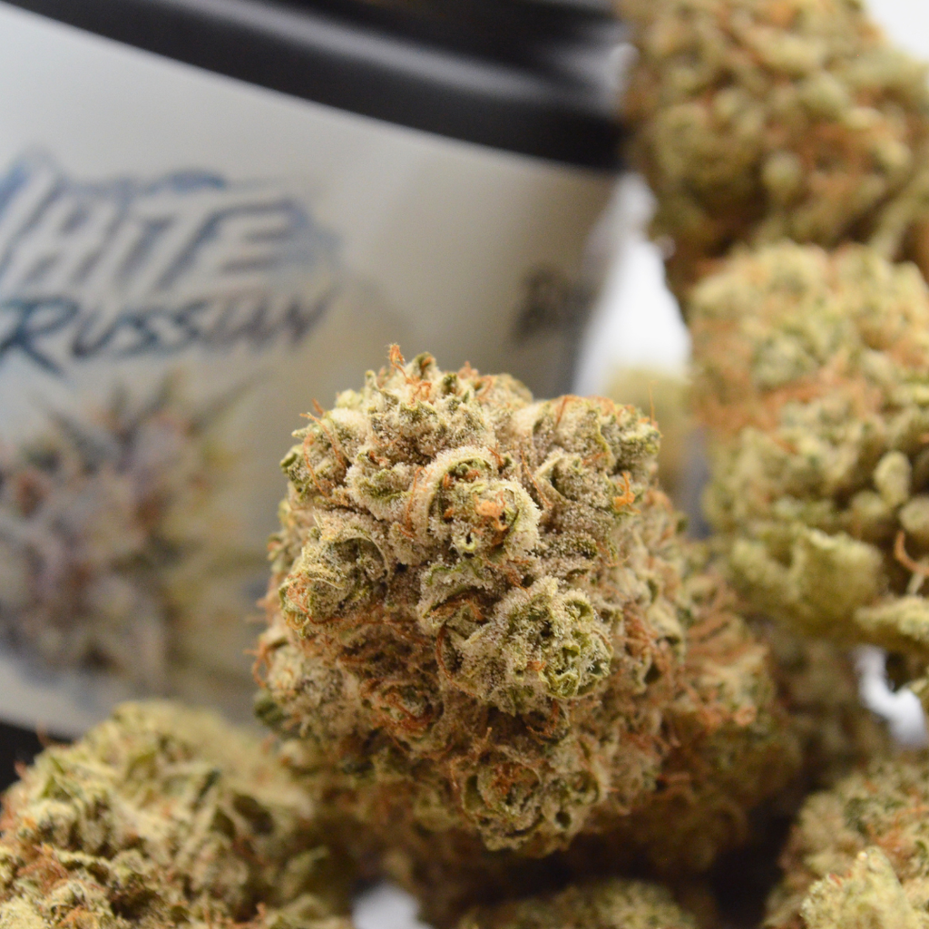 🌿 WHITE RUSSIAN