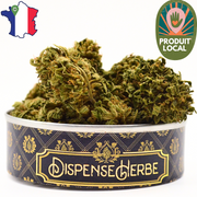 Fleur CBD <br> La MAZAL KUSH Sarthoise - DispenseHerbe 🍀