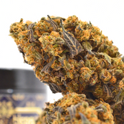 🌿 Pack LOCAL | Fleurs INDOOR Sarthoise DispenseHerbe 🌿