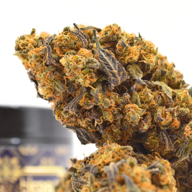 🌿 Pack LOCAL | Fleurs INDOOR Sarthoise DispenseHerbe 🌿