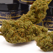 Fleur CBD | SOUR CIDER | INDOOR TOP 3 Spannabis
