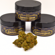 Fleur CBD | TROPICAL DREAM | INDOOR TOP 1 Spannabis
