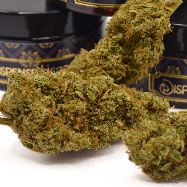Fleur CBD | SOUR CIDER | INDOOR TOP 3 Spannabis