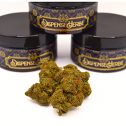 Fleur CBD | TROPICAL DREAM | INDOOR TOP 1 Spannabis