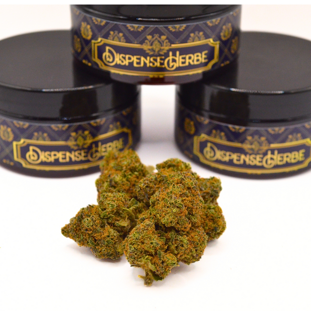 Fleur CBD | TROPICAL DREAM | INDOOR TOP 1 Spannabis