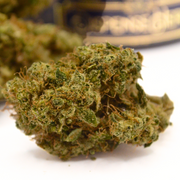 Fleur CBD | SOUR CIDER | INDOOR TOP 3 Spannabis