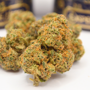 Fleur CBD | TROPICAL DREAM | INDOOR TOP 1 Spannabis
