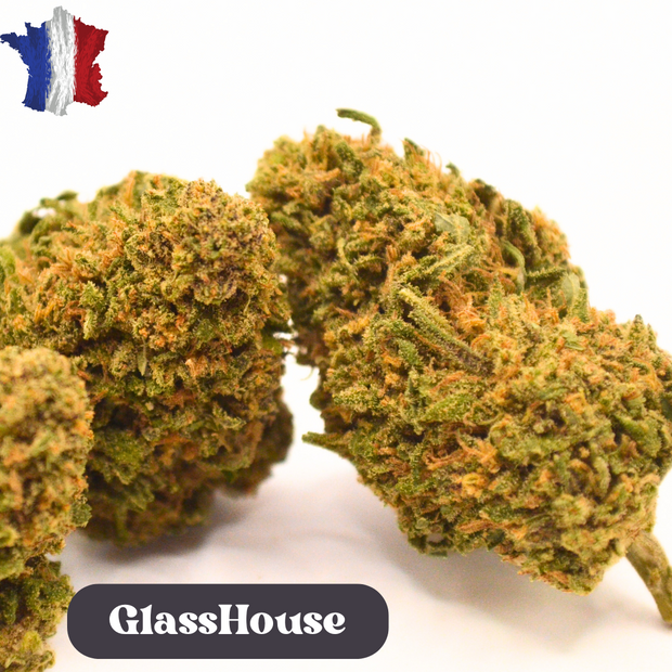 Fleur CBD <br>  La Saphire Kush Fr