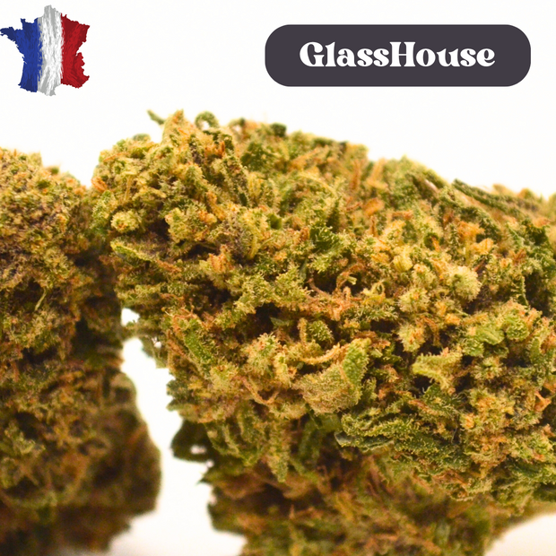 Fleur CBD <br>  La Saphire Kush Fr