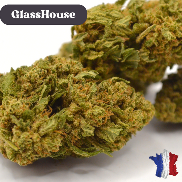 Fleur CBD <br> La White Cali BIO