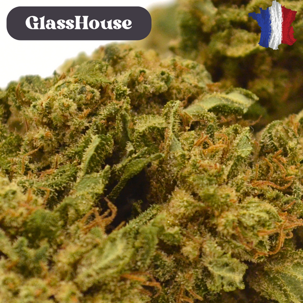 Fleur CBD <br> La White Cali BIO