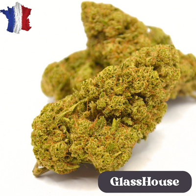 Fleur CBD <br> GORILLA GLUE BIO FR