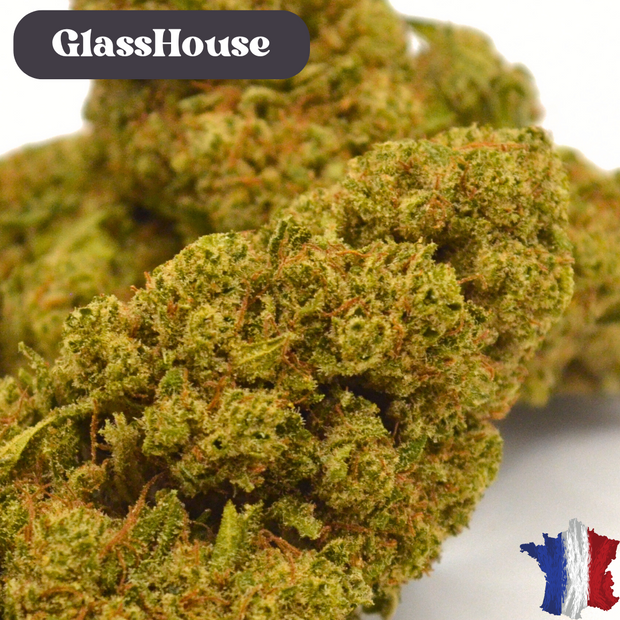Fleur CBD <br> GORILLA GLUE BIO FR