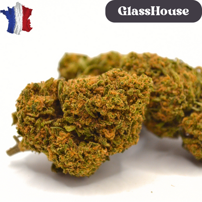 Fleur CBD <br> La Cherry Pie BIO Française