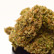 AK47 CBD | Fleur Pharma Française Premium