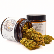 Lemon Grâce CBD | Fleur Pharma Française TOP 1 Europe