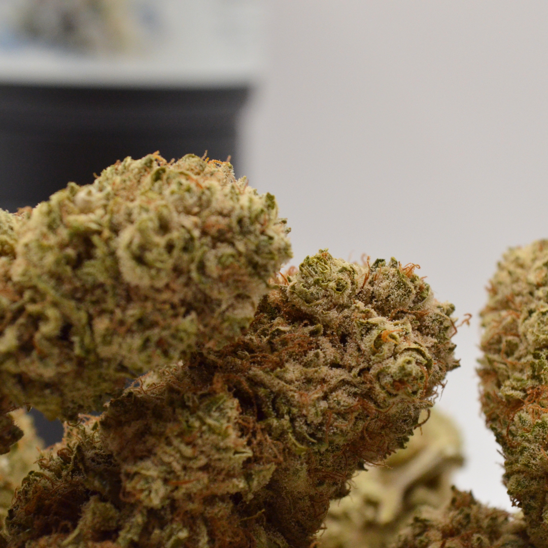🌿 WHITE RUSSIAN