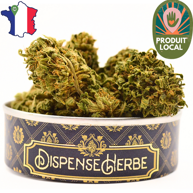 Fleur CBD <br> La MAZAL KUSH Sarthoise - DispenseHerbe 🍀