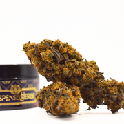 Fleur CBD | BLUEBERRY MUFFIN | INDOOR Sarthoise