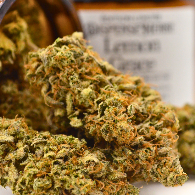 Lemon Grâce CBD | Fleur Pharma Française TOP 1 Europe