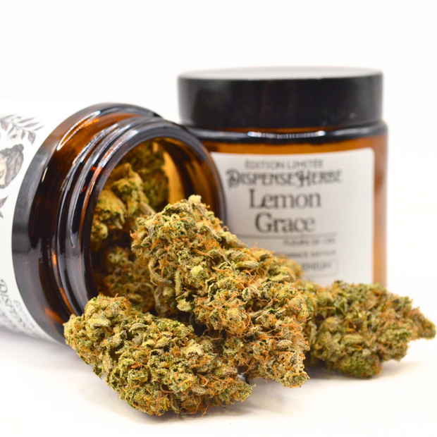 Lemon Grâce CBD | Fleur Pharma Française TOP 1 Europe