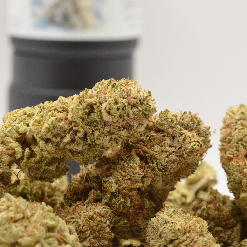 🌿 WHITE RUSSIAN