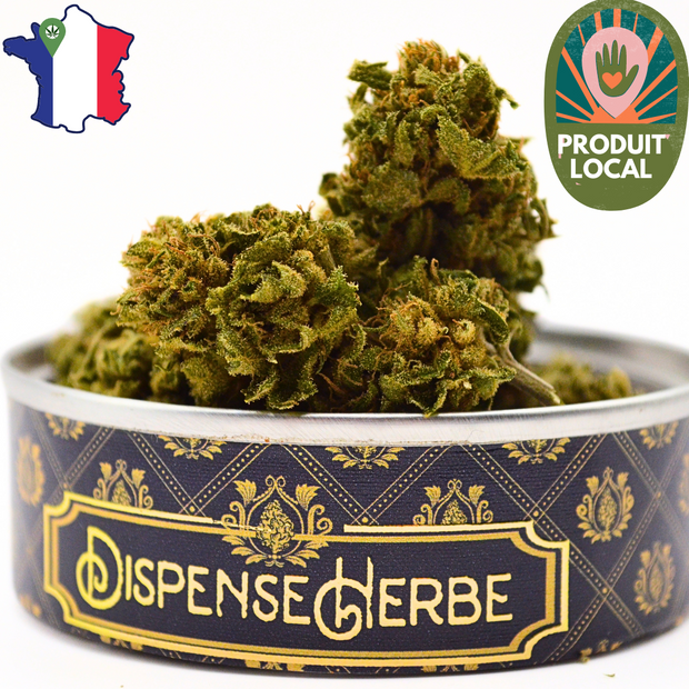 Fleur CBD <br> La LEMON KUSH Sarthoise - DispenseHerbe 🍀