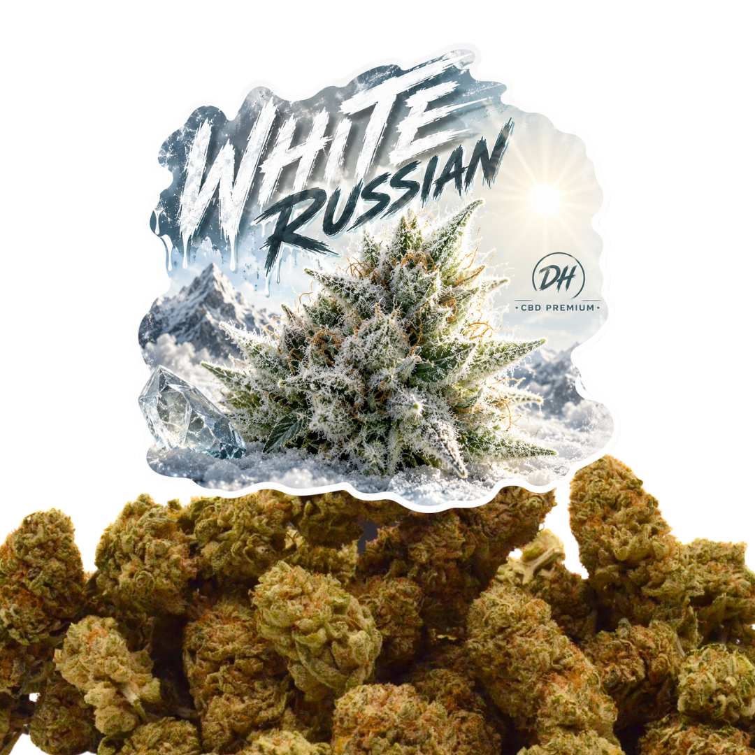 🌿 WHITE RUSSIAN