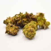  Fleur CBD Small Bud <br> White Widow Dispense Herbe 