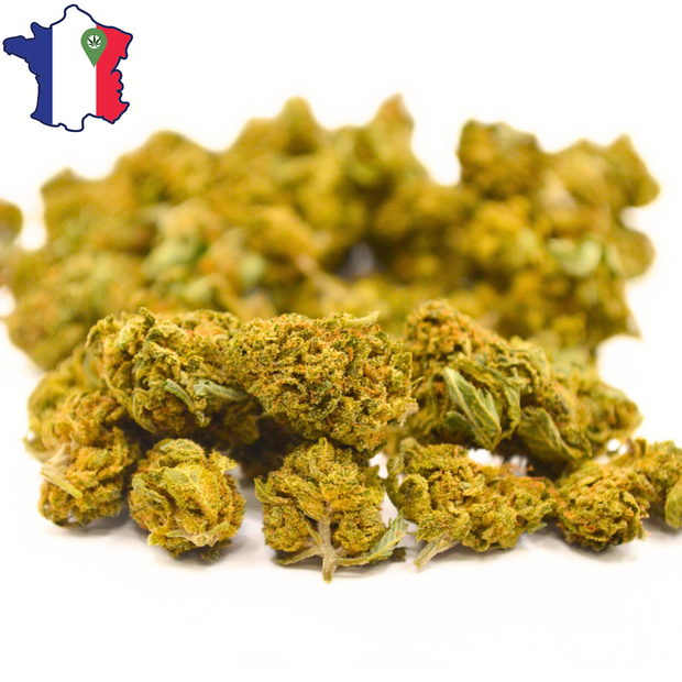 Small Buds CBD <br> la Grap Fruit Française (à partir de 1€50) - DispenseHerbe 🍀