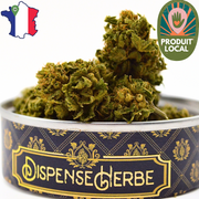 Fleur CBD <br> La LEMON KUSH Sarthoise - DispenseHerbe 🍀