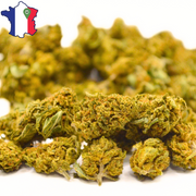 Small Buds CBD Fleurs | K1 TSUNAMIE Française | DispenseHerbe.FR - DispenseHerbe 🍀